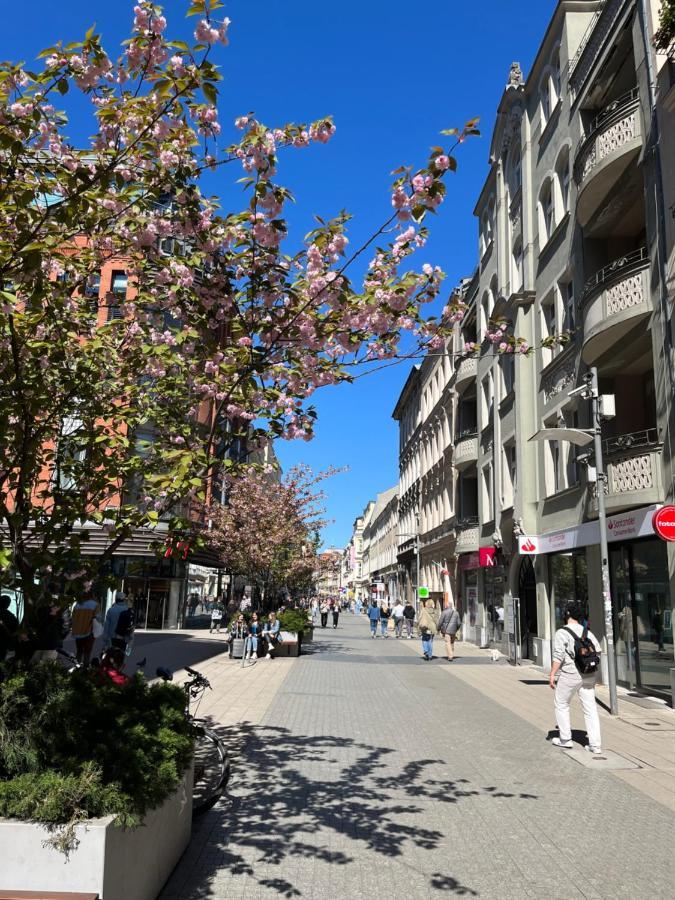Sloneczny Apartament Centrum Poznania Klimatyzacja Wi-Fi Tv Zmywarka Pralka Piekarnik Kültér fotó